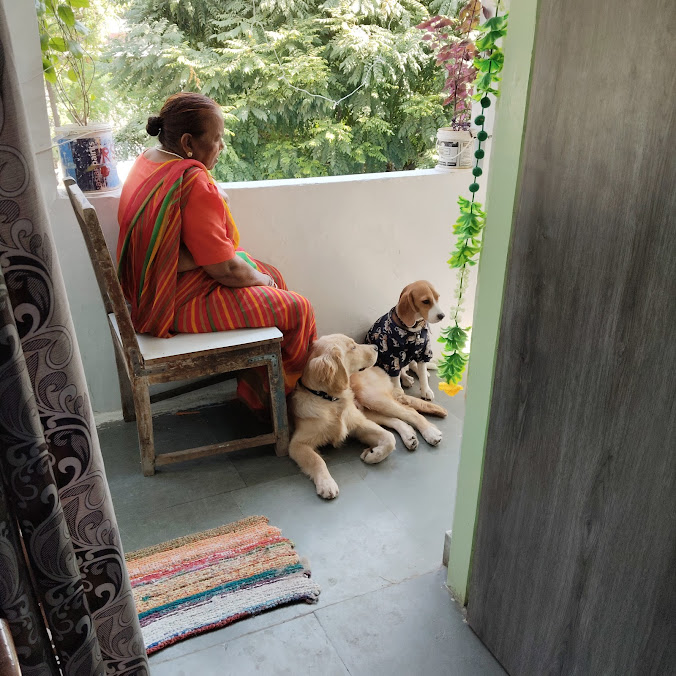 Your pets are enjoying grandmas-conpany